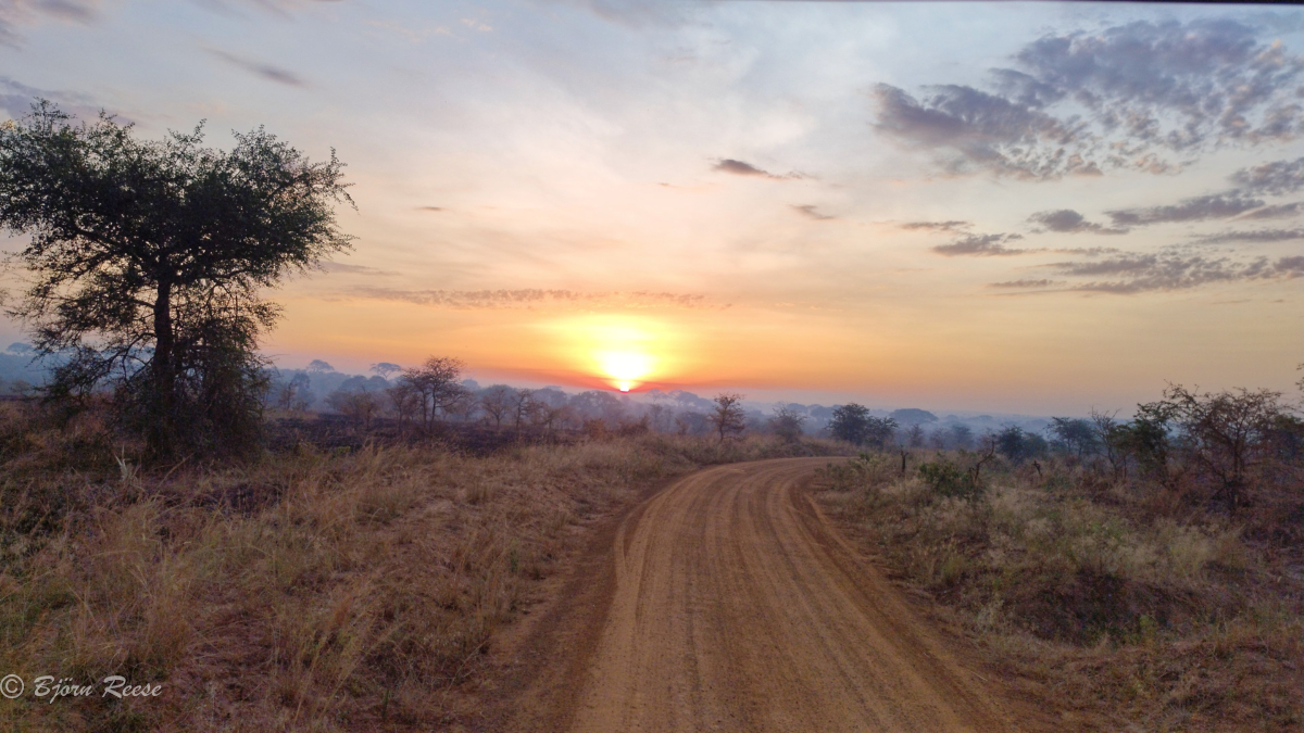 Uganda